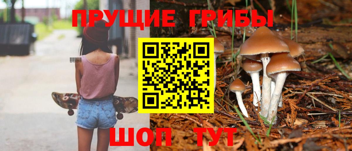 Острогожск  Галлюциногенные грибы GOLDEN TEACHER  даркнет сайт  Псилоцибиновые грибы Cubensis  Вход с VPN 